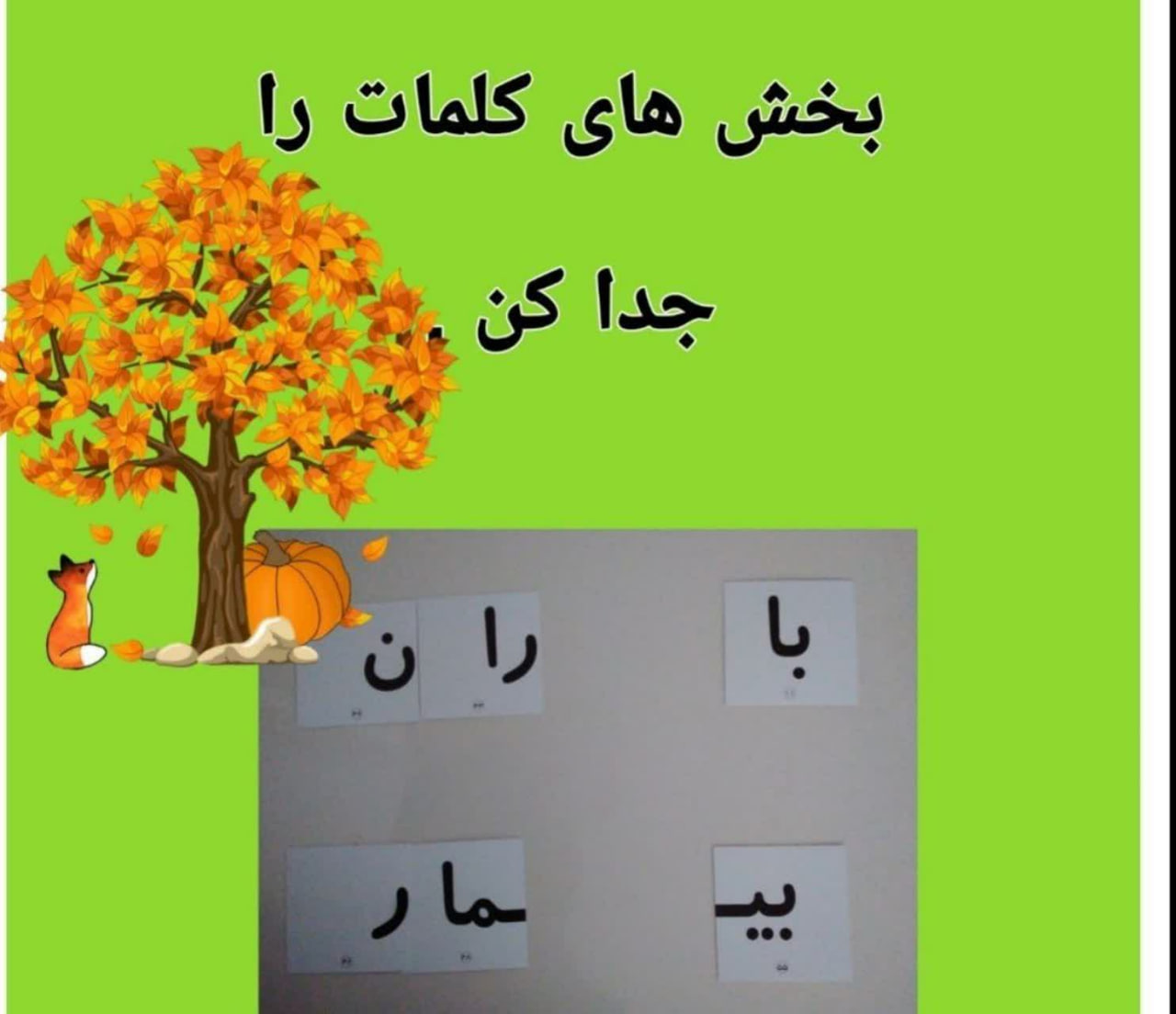فلش کارت فارسی بامبو تصویر 7