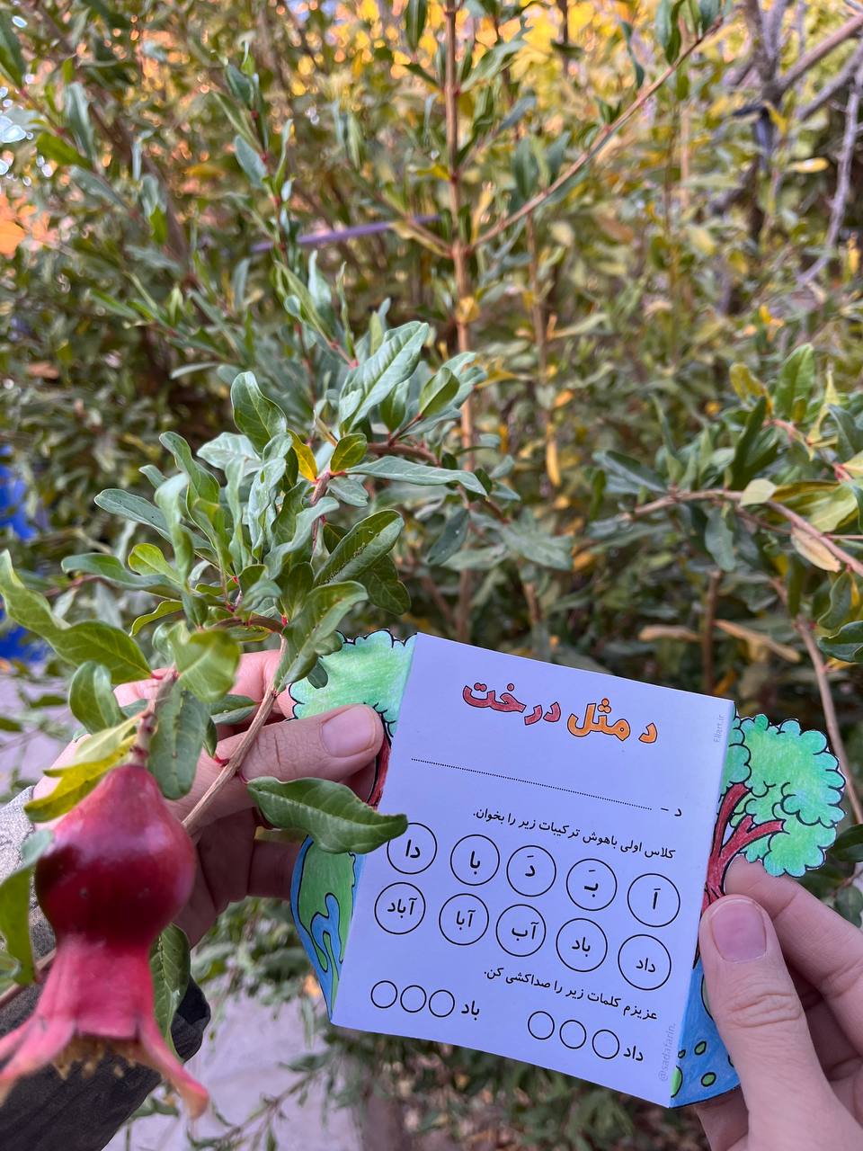 کاربرگ تاشو نشانه دال (طرح درخت) تصویر 5